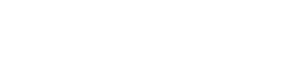 Cameron Public Adjuster Logo Wh